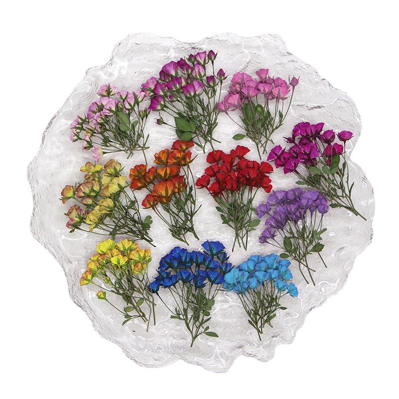 Dried Flower Bookmark - Pressionado Secas Multi-Cabeças Tingido Rose Buds,