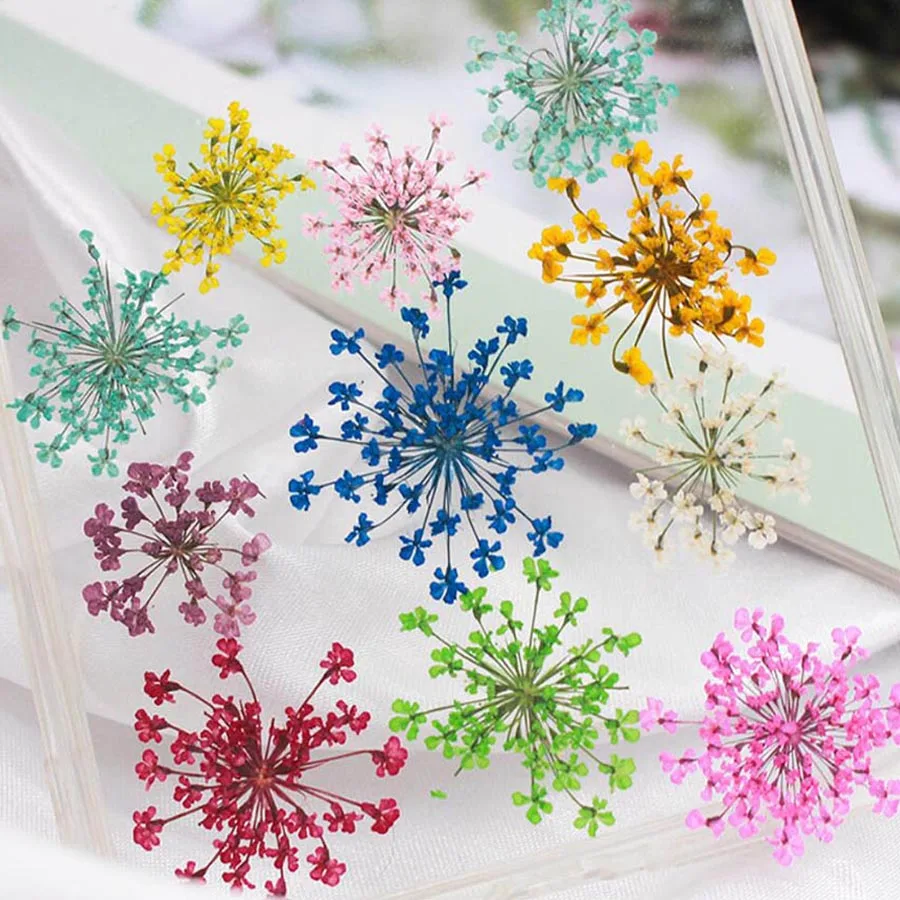 60 peças prensadas secas 20-25 - Dried Flower Bookmark avaliação e preço