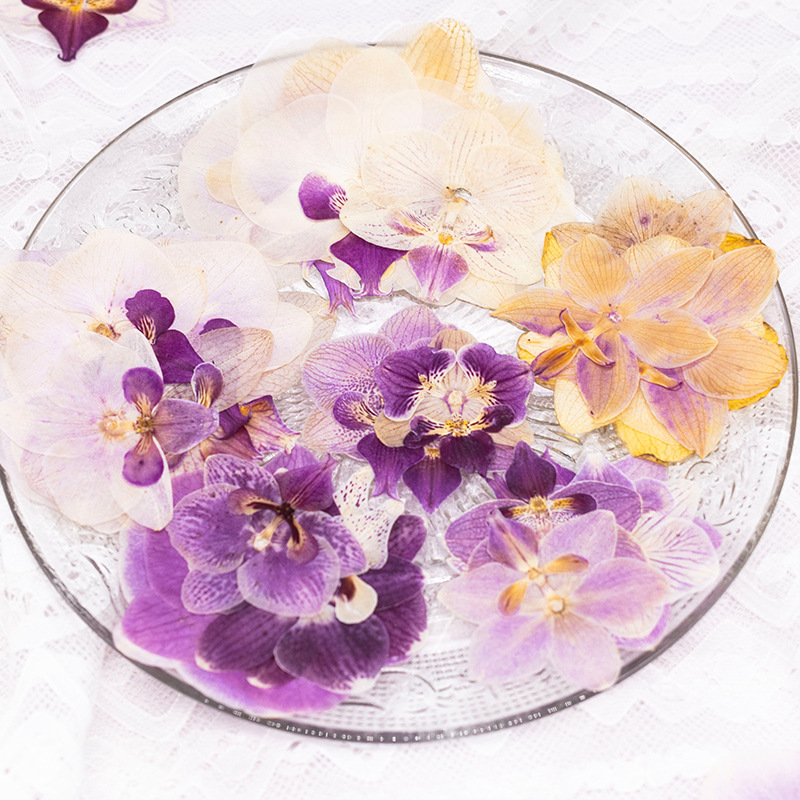 4 Peças de Flores Secas Prensa - Dried Flower Bookmark avaliação e preço