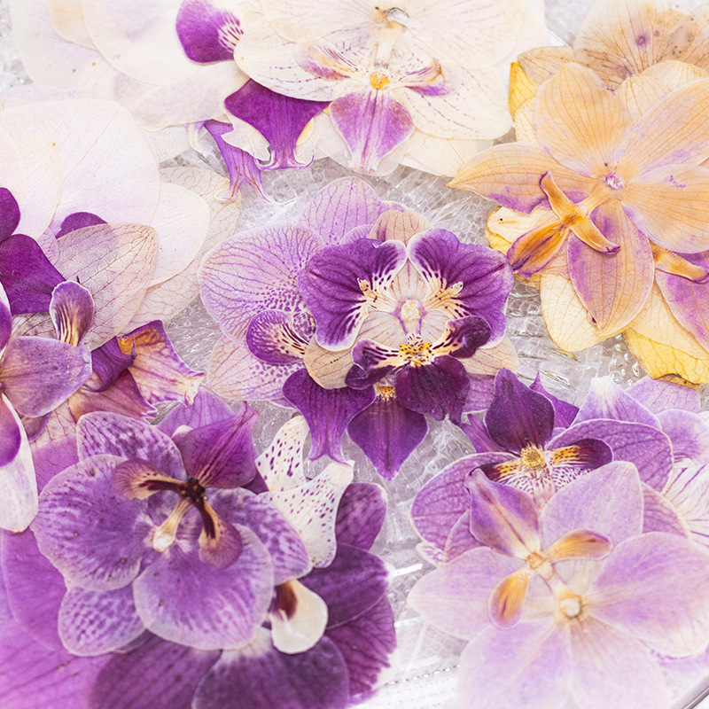 4 Peças de Flores Secas Prensa - Dried Flower Bookmark avaliação e preço